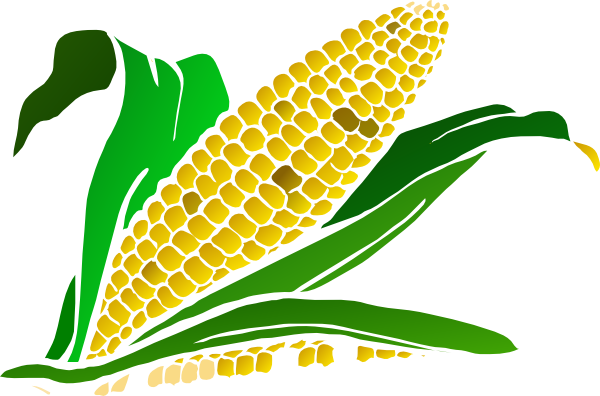 free clipart ear of corn - photo #17