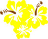 Hibiscus Yellow Flower Clip Art