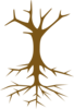 Tree Skeleton Clip Art