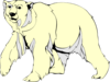 Polar Bear Walking Clip Art