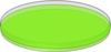 Green Petri Dish Clip Art