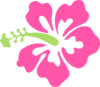 Pink Green Hibiscus Clip Art