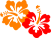 Hibiscus 3-color Clip Art