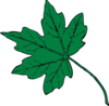 Mid Green Maple Leaf Clip Art