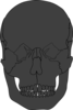 Black Skull Clip Art