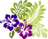 Hibiscus Purple Clip Art