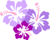 Hibiscus Trifecta Clip Art