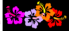 Coral Hibiscus2 Clip Art