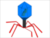 Virus Dna Clip Art