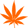 Orange Leaf Dude Clip Art