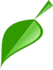 Large Leaf Clip Art