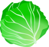 Cabbage Clip Art