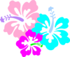 Hibiscus10 Clip Art