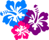 Hibiscus 10 Clip Art