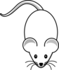 Light Grey Mouse Clip Art