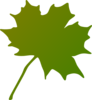 Green Gradient Maple Leaf Clip Art