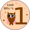 Owl Birthday Clip Art