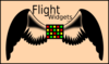 Flight Widgets Logo Clip Art