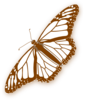 Monarch Butterfly Brown Clip Art