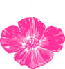 Hot Pink Poppy 80% Clip Art