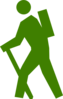 Green Wanderer Clip Art