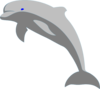 Gray Dolphin Clip Art