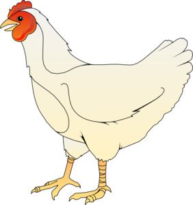 Chicken Clip Art at Clker.com - vector clip art online, royalty free &  public domain