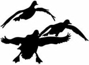 duck hunting clipart