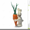 Rabbit Hugging Carrot Image