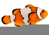 Download Free Fish Clipart Image
