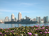 The Amphibious Dock Landing Ship Uss Germantown (lsd 42) Sails Past Downtown San Diego, Calif. On Its Way To Loved Ones Waiting Pier Side At Naval Base San Diego. Image