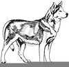 Free Clipart Husky Dog Image