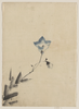 [blue Blossom At The End Of A Stem] Image