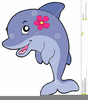 Free Dolphin Clipart Graphics Image
