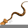 Animated Snake Clipart Image