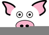 Free Clipart Of Pig Image