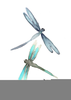 Clipart Dragonflies Image