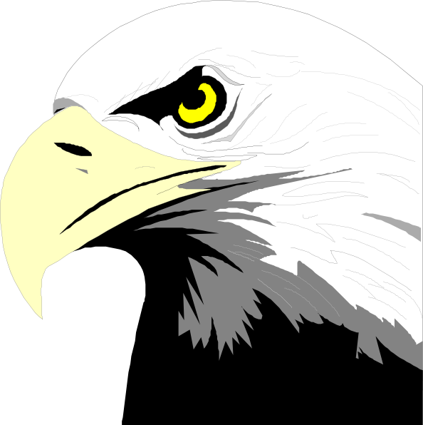 free eagle head clipart - photo #6