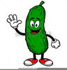 Free Pickle Clipart Image