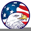 Flag And Eagle Clipart Image