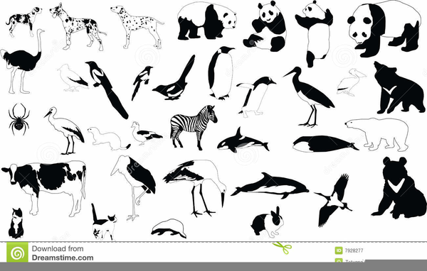 Clipart Animali Bianco E Nero | Free Images at Clker.com - vector clip art  online, royalty free & public domain