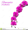 Clipart Flower Valentine Image