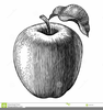 Apple Tree Clipart Black White Image
