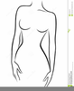 Female Body Outline Clipart Image