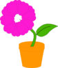 Daisy In A Flower Pot  Illustration Clip Art