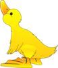 Young Duck Clip Art