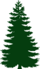  Dark Green Pine Clip Art