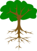 Tree With Long Taproot Clip Art