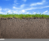 Grass And Soil Clipart Image