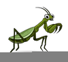 Free Insect Clipart Graphics Image